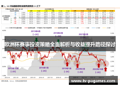 欧洲杯赛事投资策略全面解析与收益提升路径探讨