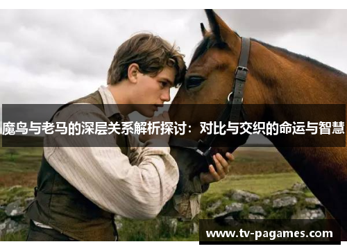 魔鸟与老马的深层关系解析探讨:对比与交织的命运与智慧