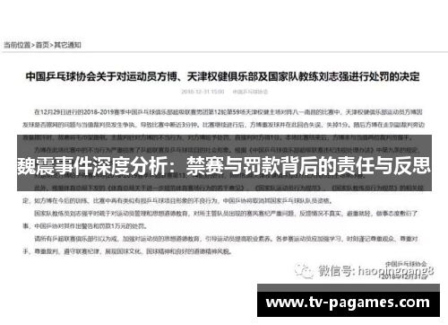 魏震事件深度分析:禁赛与罚款背后的责任与反思