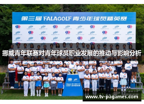 挪威青年联赛对青年球员职业发展的推动与影响分析