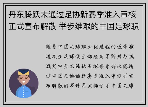 丹东腾跃未通过足协新赛季准入审核正式宣布解散 举步维艰的中国足球职业化困境再现