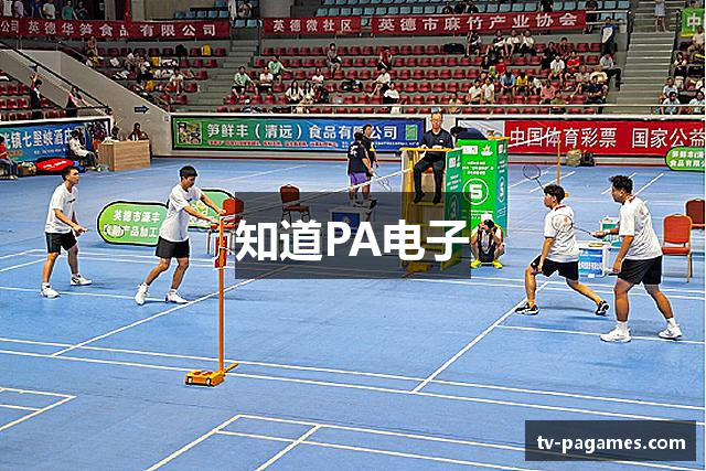 知道PA电子